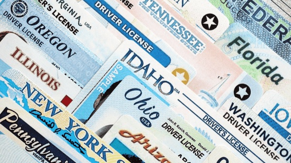 Dark web service Nexus sells 153 million driver's licenses traced to IDScan.net