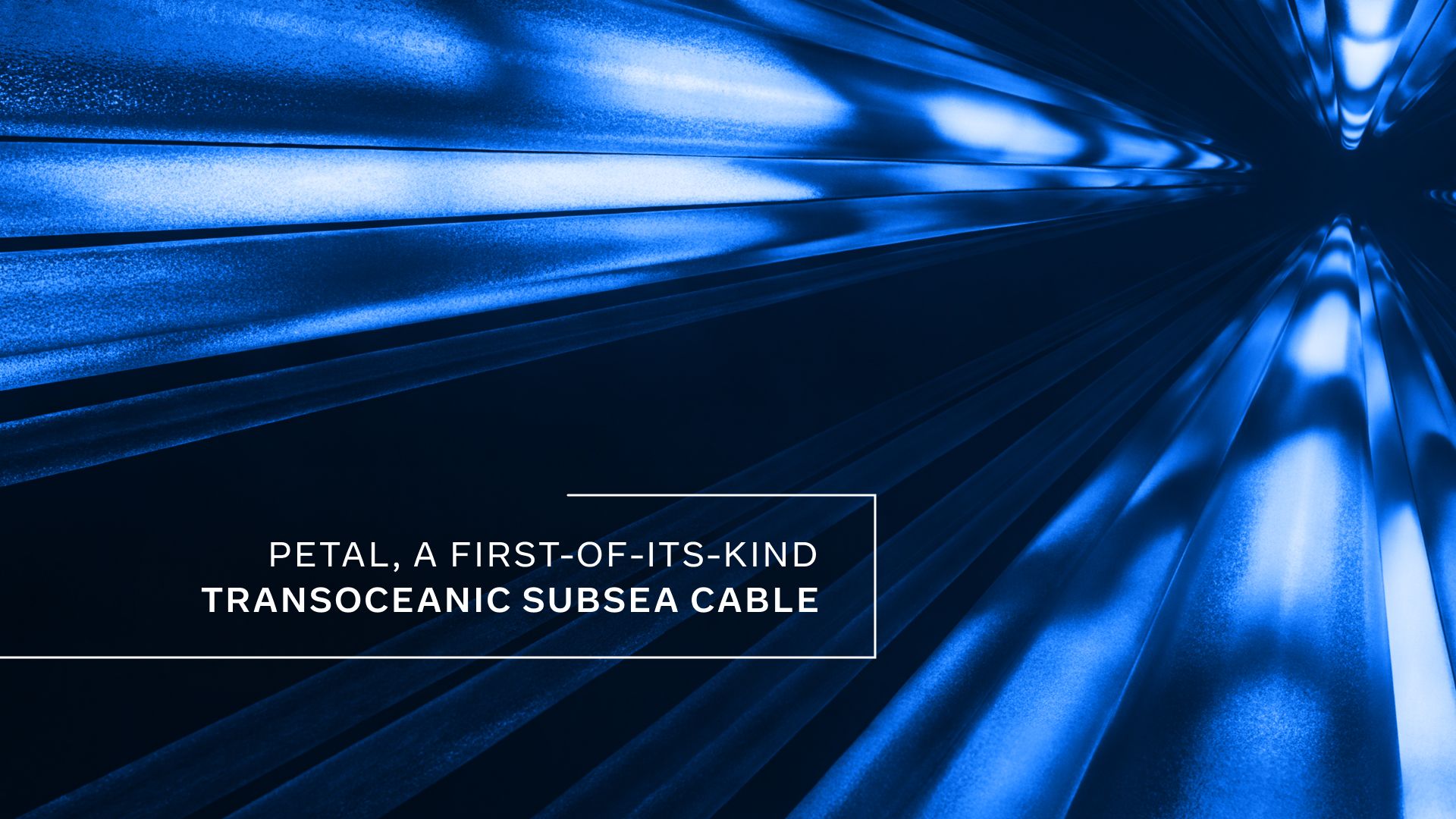 Meta announces Petal, the first transoceanic subsea cable to carry a full petabit per second